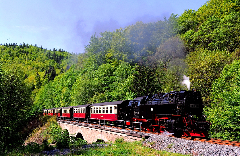 k-029 Viadukt bei Ilfeld 20.05.2012