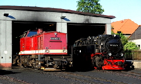 k-1009 BW Wernigerode Harzkamel und Dampflok 30.05.2011 hr1