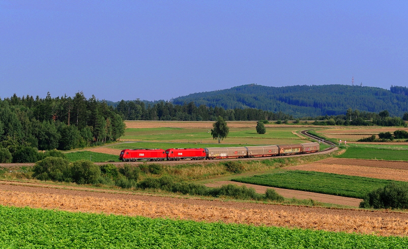 k-010. bei Obernondorf 23.08.2019 hr x1