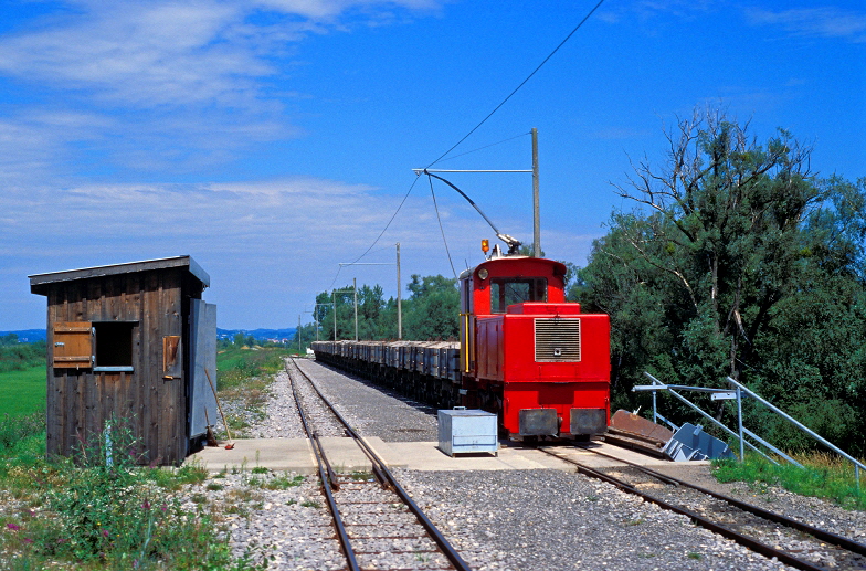 k-023. auf dem Rheindamm bei Lustenau 17.08.2006 bs 