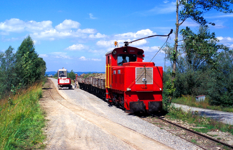 k-030. auf dem Rheindamm 17.08.2006 bs 